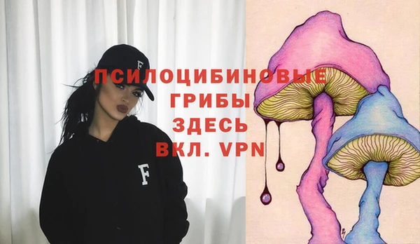 дурь Верея